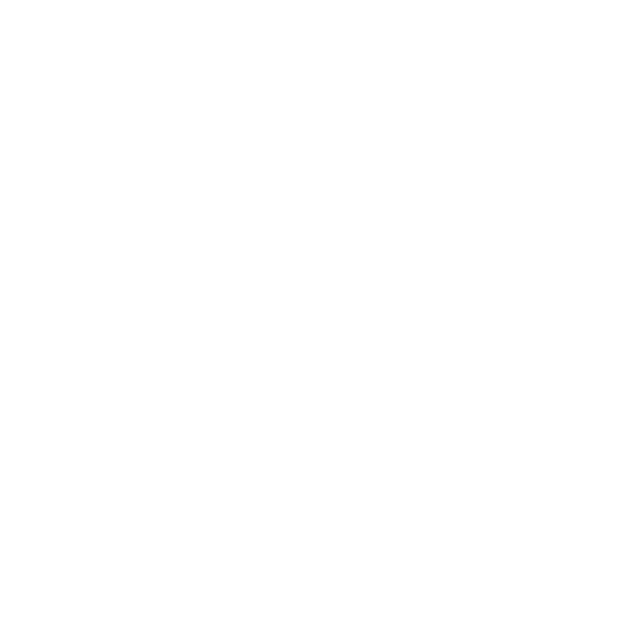 Saudi Vision 2030